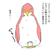 ペンギンドフロ②