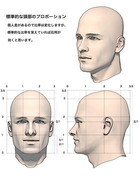 人物頭部の標準的なプロポーション