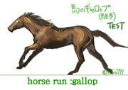 馬の走り方：ギャロップ（襲歩）