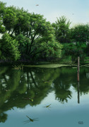 ギンヤンマの池