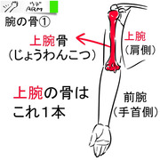 #OEKAKI SUPPLEーX　（腕の追加－１）