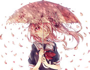 春雨