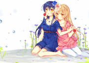 ✿anemone　 heart✿