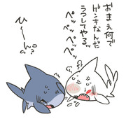 風邪を引いたしろさめちゃん