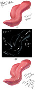 加筆そのものの可視化