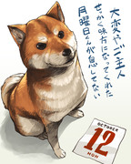 SHIBAINUつめあわせ