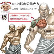 筋肉の描き方　入門編：大胸筋と三角筋