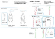 講座本没ページ「角度別の人物の描き方」