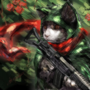 猫兵士