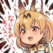 小さなフレンズ