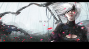 系列类2b