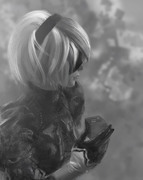 2B