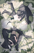 NieR: 2B + 9S