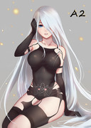 A2