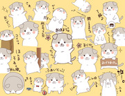 でぶねこ小次郎スタンプ第２弾！【LINEスタンプ】