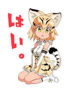 けものフレンズ集