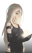 A2