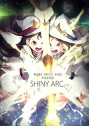 SHINY ARC