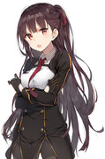 WA2000