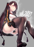 WA2000