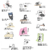 【オリジナル】ねこをかうということ