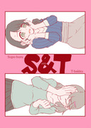 【シンステ６新刊】　S&T