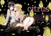 citrus yuzu×mei