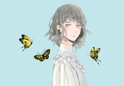 butterfly