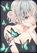 蝶の恋