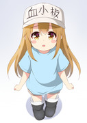 Platelet