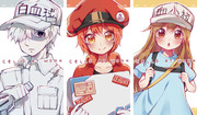 Hataraku Saibou はたらく細胞