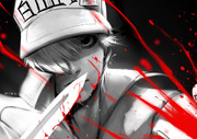 White Blood Cell