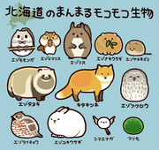 北海道のまるっこい生き物たち