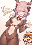 メリークリスマスマシュ