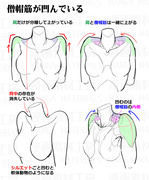 肩の描き方・肩可動の違和感と修正法⑪