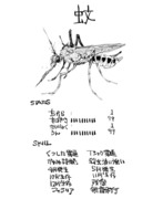 強い蚊の能力値（と誤字の事後処理）