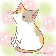 猫の日