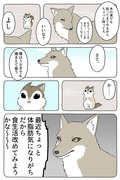 もしあの動物漫画がまだまだまだ続いてしまうなら