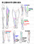 脚の描き方：骨と筋肉の流れ+アングル変化時の違和感と修正法