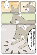 あの動物漫画がまだまだ続くというので