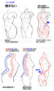 胴体の描き方・腰の違和感と修正法