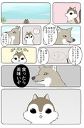 あの動物漫画はまだ続いているのですか？