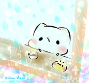 雨の日。