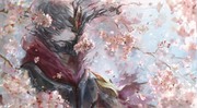 Sakura ZED