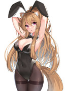 Raphtalia bunny?