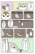 【Hush Hush】お手元のあの動物漫画は如何でしたでしょうか