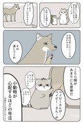 【Hush Hush】あの動物漫画にも新しい変化を