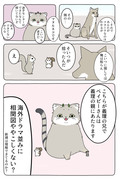 【Hush Hush】あの動物漫画は何漫画か