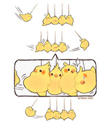 Newton's Cockatiel Cradle