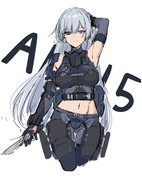 ak-15